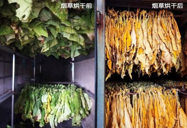 卡林空氣源熱泵烘干機效果