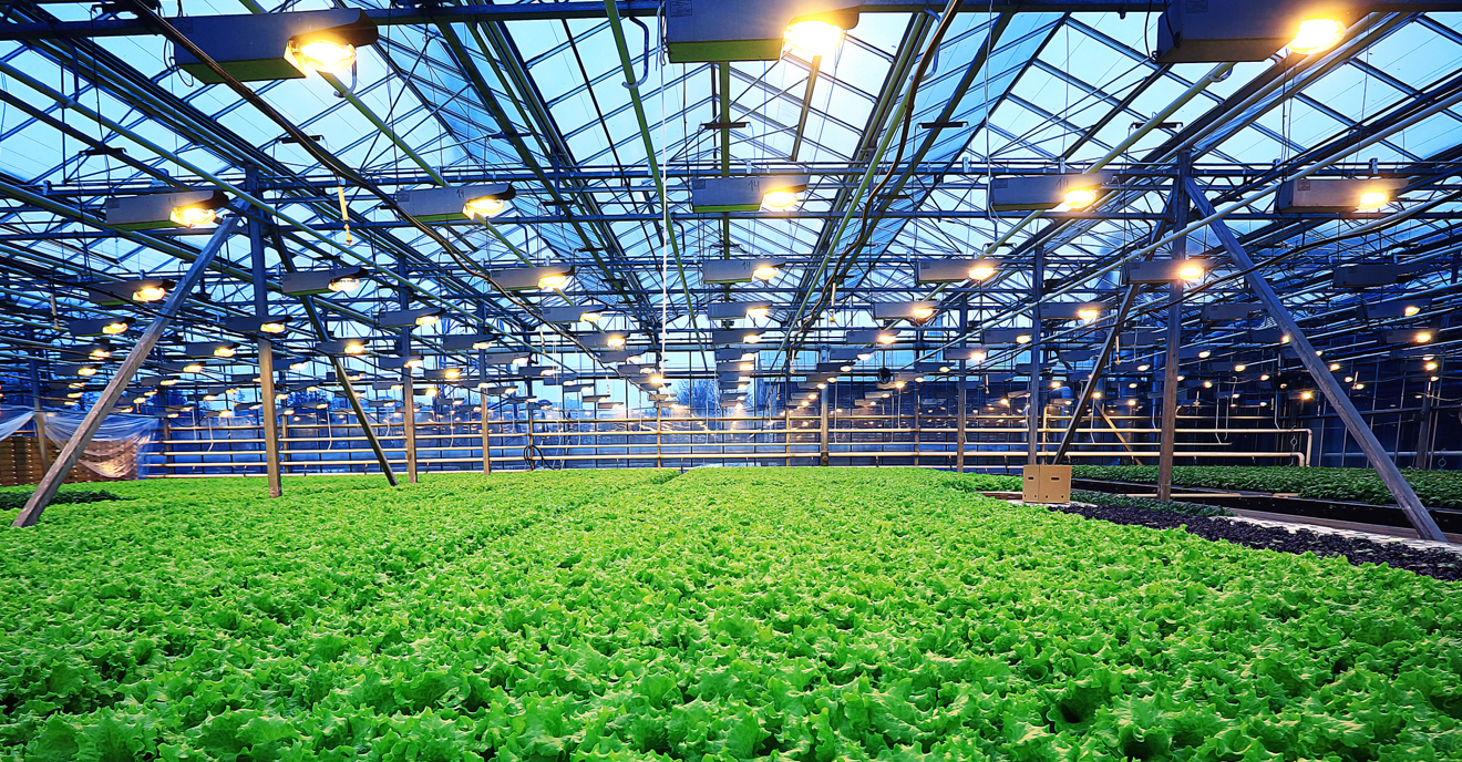高效種植新時代:空氣能熱泵在農業大棚中的應用